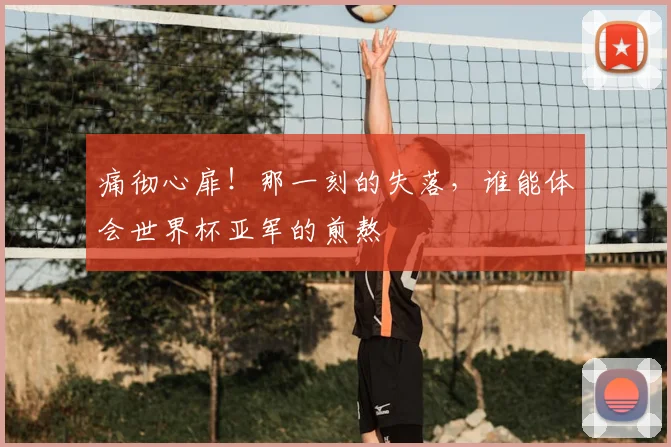 痛彻心扉！那一刻的失落，谁能体会世界杯亚军的煎熬