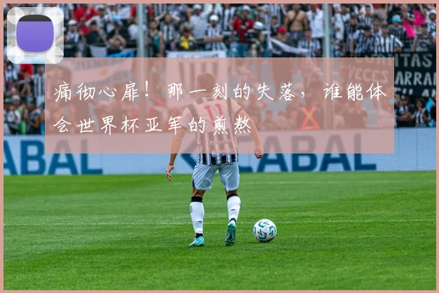痛彻心扉！那一刻的失落，谁能体会世界杯亚军的煎熬