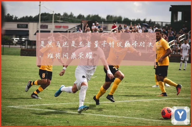 是黑马还是王者量子特攻巅峰对决,谁将问鼎荣耀