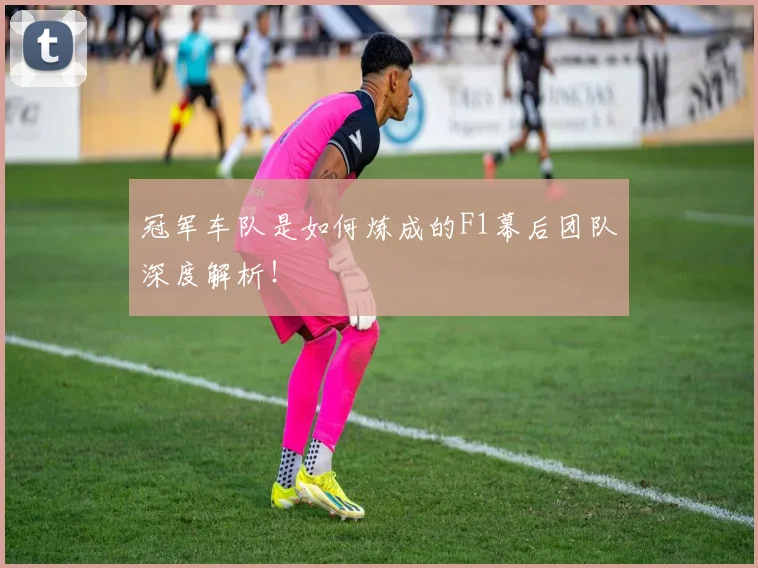冠军车队是如何炼成的F1幕后团队深度解析!