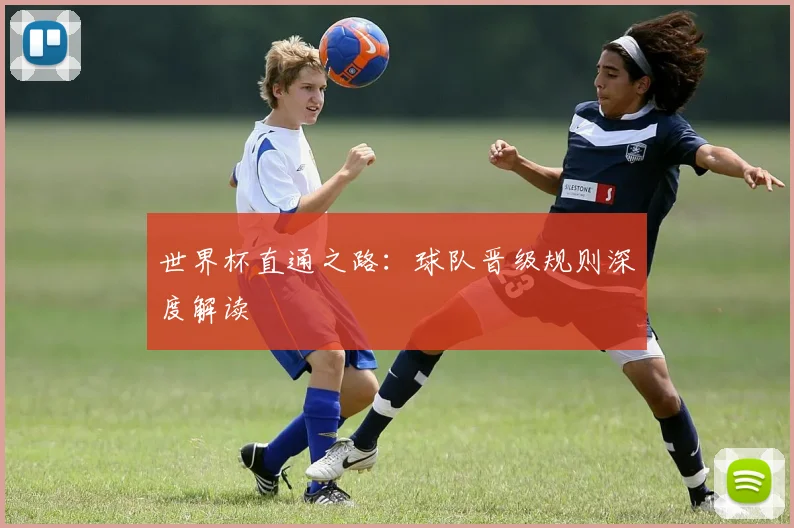 世界杯直通之路:球队晋级规则深度解读